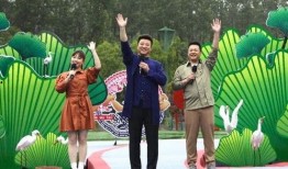 爆料南宁楼市最新消息视频,揭秘视频爆料背后的真相